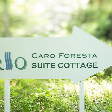 Hotel Caro Foresta Kita Karuizawa Rio Tsumagoi Exterior foto